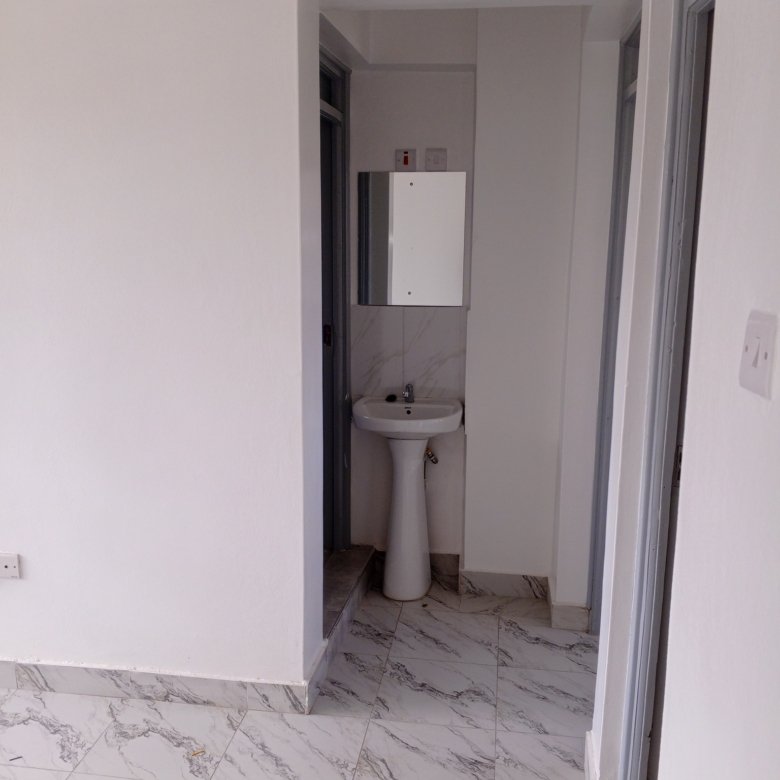 1 bedroom for rent carwash Kasarani