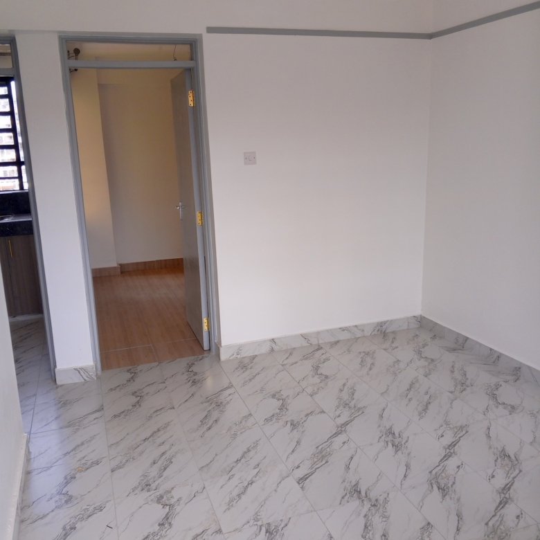 1 bedroom for rent carwash Kasarani