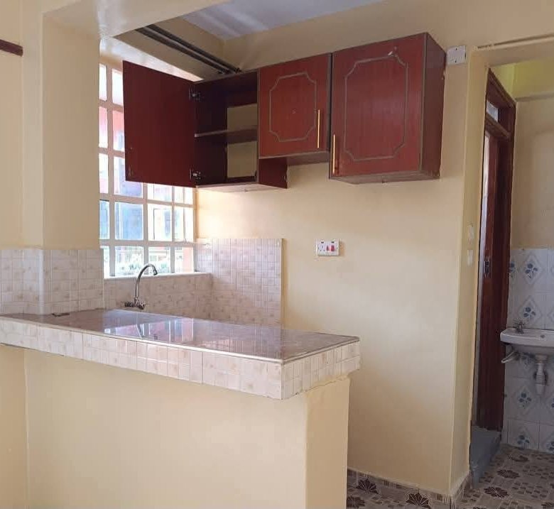 1 Bedroom Apartment To Let Ngong Embulbul
