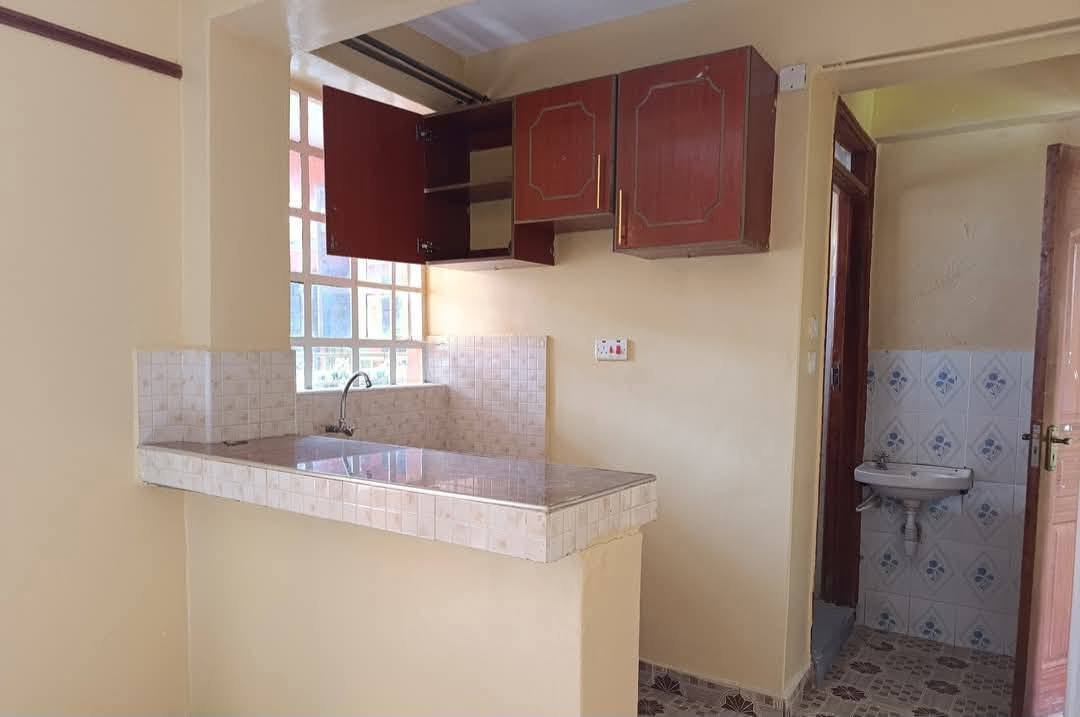 1 Bedroom Apartment To Let Ngong Embulbul