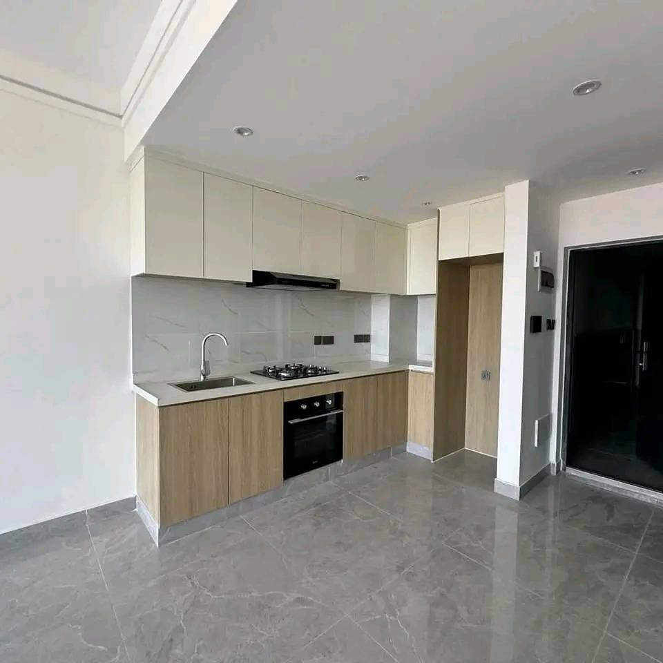 1 Bedroom Apartment To Let Riara Road