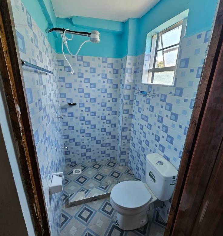 1 Bedroom Apartment To Let in Kiambu Kirigiti