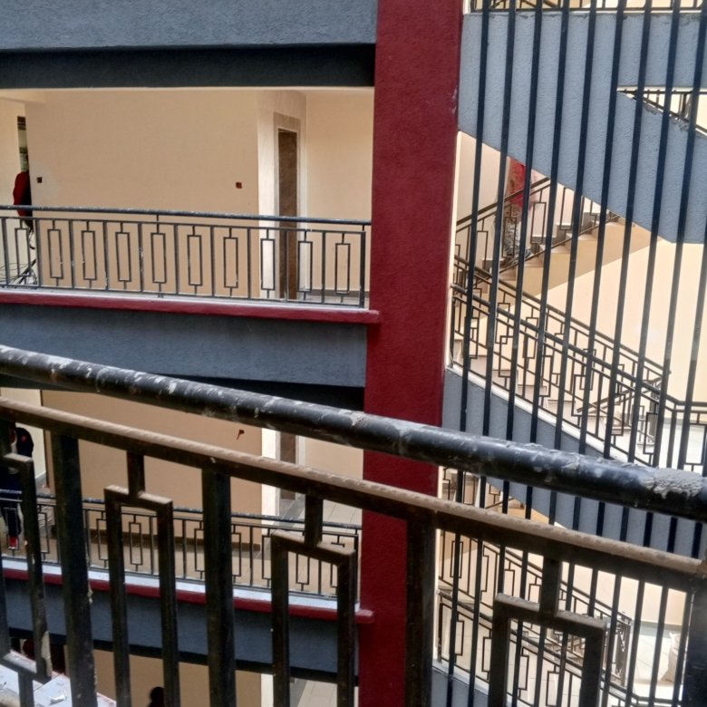 1 Bedroom Apartments To Let Kasarani Clay City