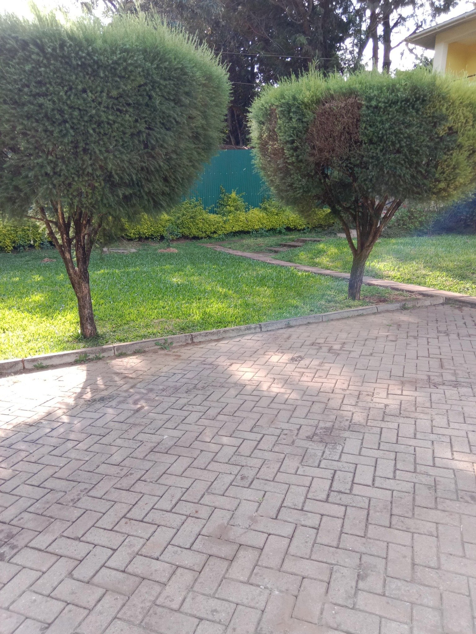 2 Bedroom Master Ensuite Apartment To Let Ngong Zambia