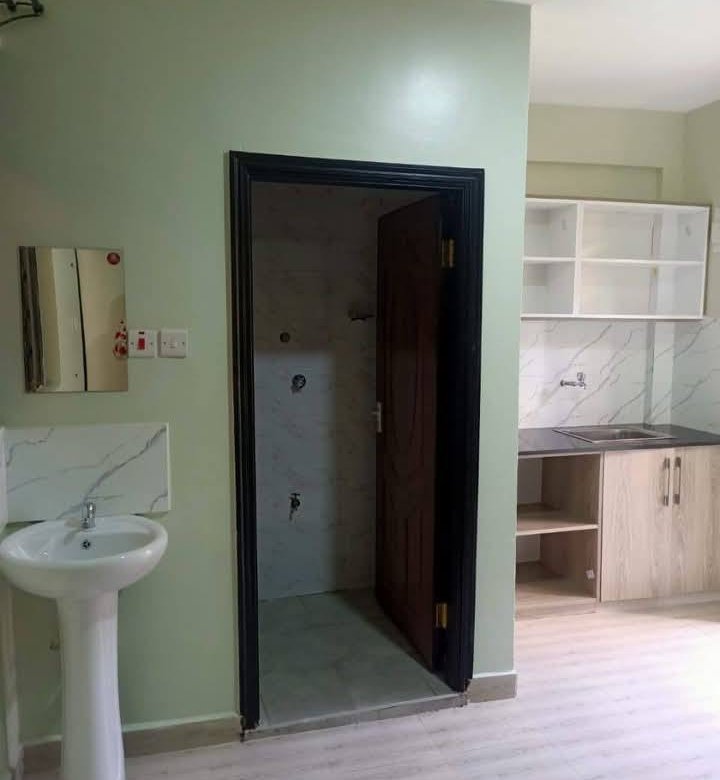 Bedsitter Apartment To Let Ngong Vet