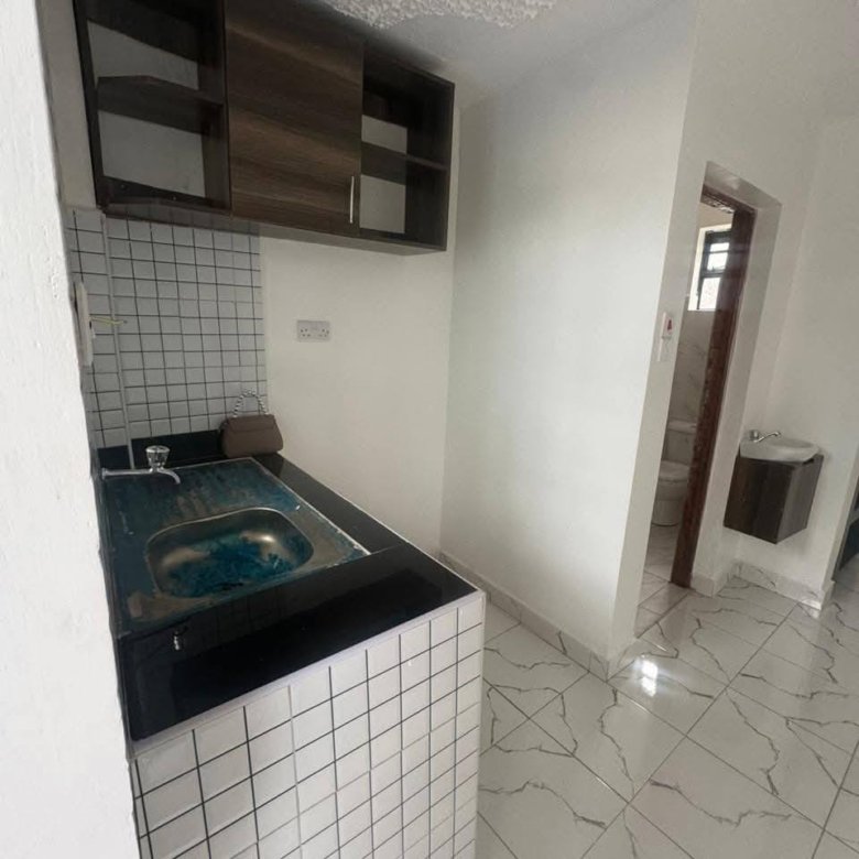 Bedsitter Apartment To Let Ngong Vet