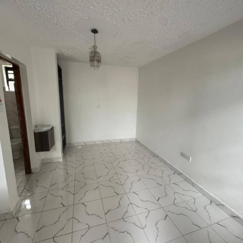 Bedsitter Apartment To Let Ngong Vet