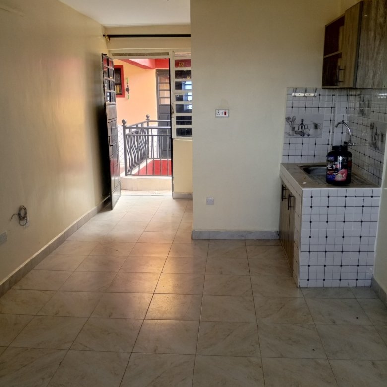 Modern Bedsitter To Let in Kasarani Seasons