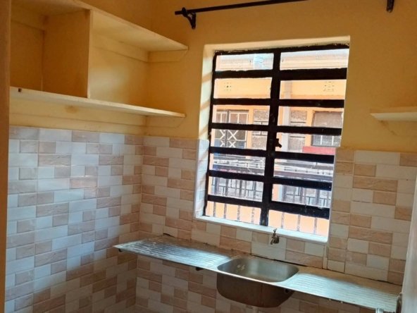 Modern One Bedroom Apartment To Let in Ngong Vet