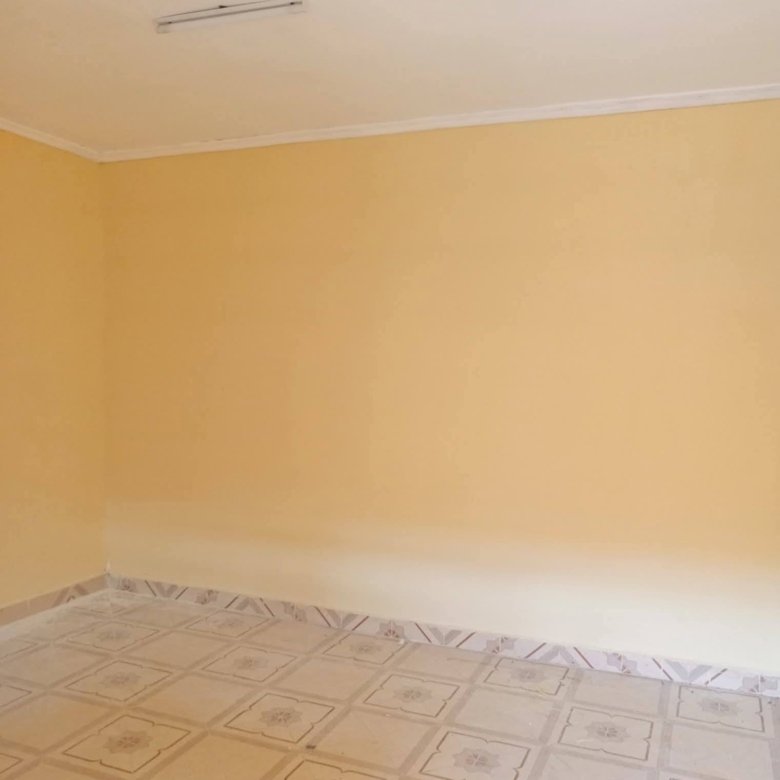 Modern One Bedroom Apartment To Let in Ngong Vet