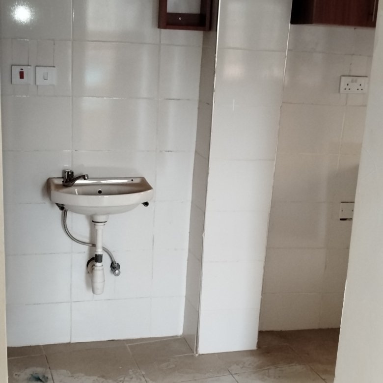 1 Bedroom Apartment To Let Roysambu Zimmerman