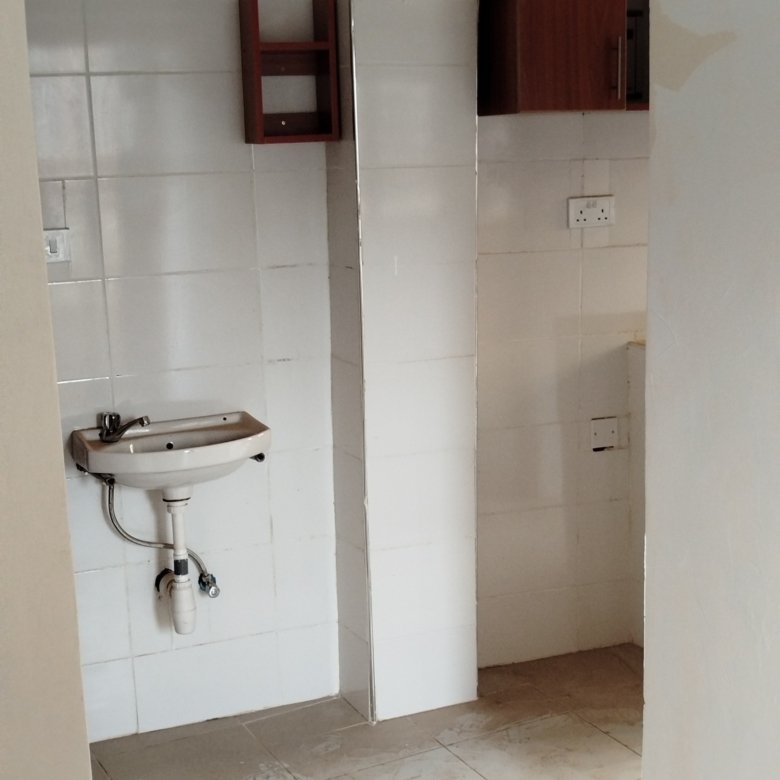 1 Bedroom Apartment To Let Roysambu Zimmerman