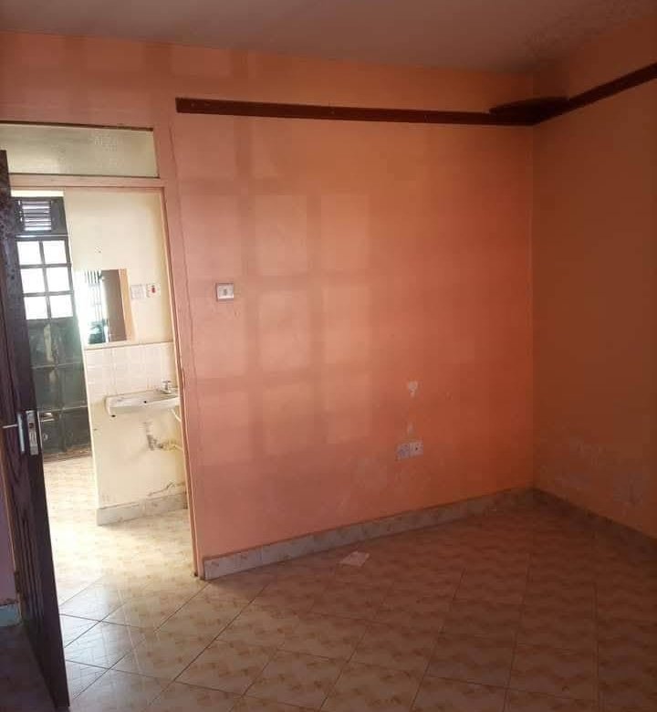 1 Bedroom Apartment To Let in Ngong Vet