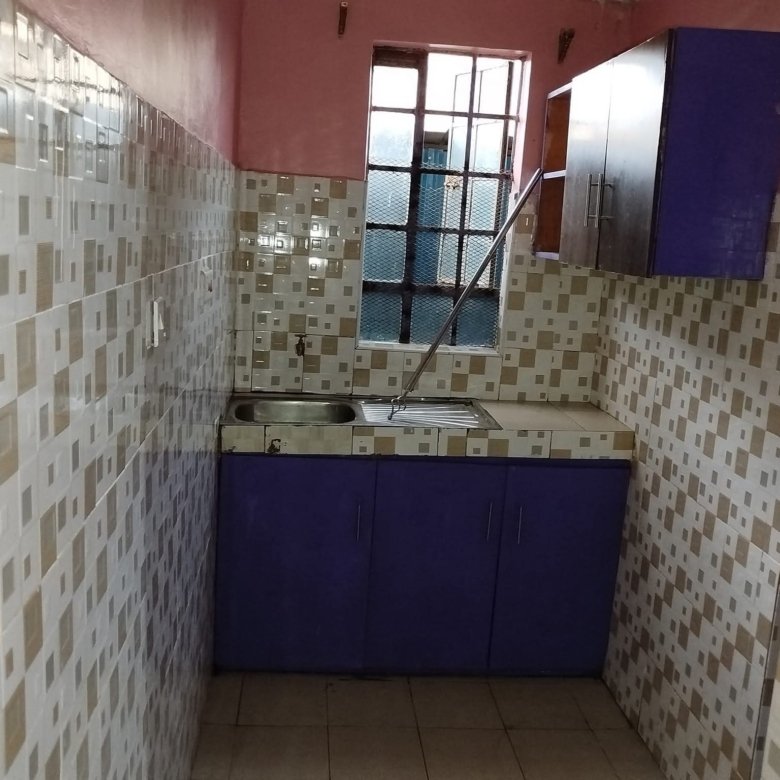 1 Bedroom To Let Roysambu Zimmerman