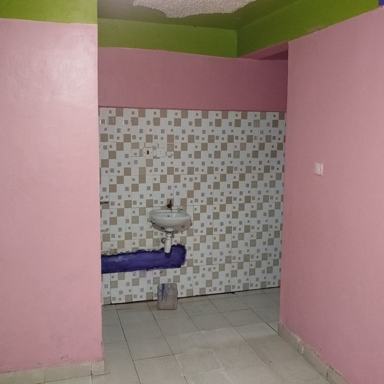 1 Bedroom To Let Roysambu Zimmerman