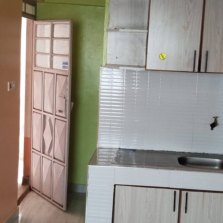 Bedsitters To Let Roysambu Zimmerman