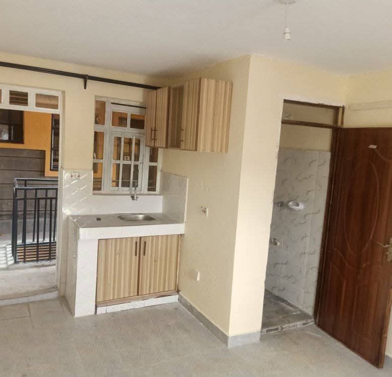 Bedsitters To Let Roysambu Zimmerman