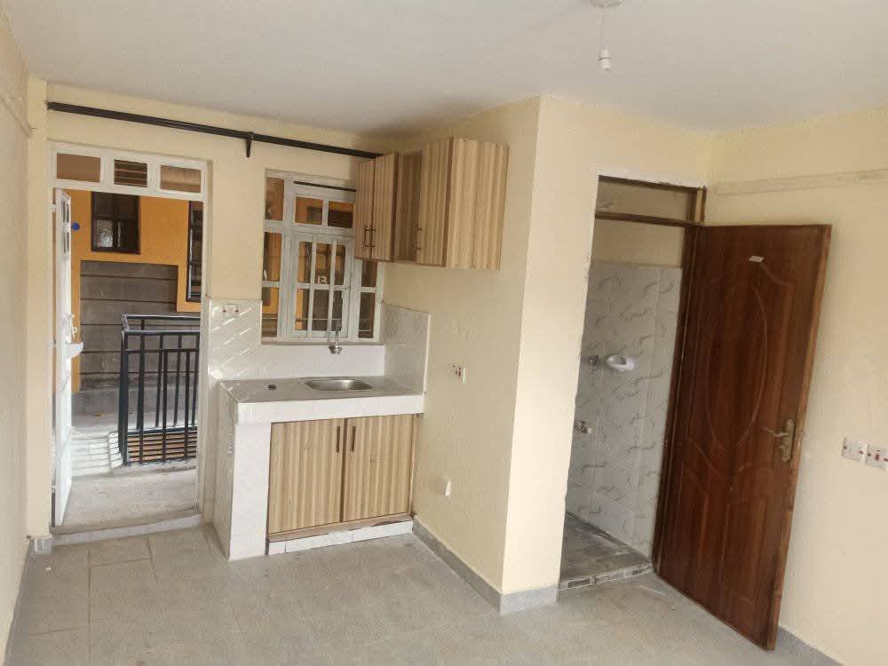 Bedsitters To Let Roysambu Zimmerman