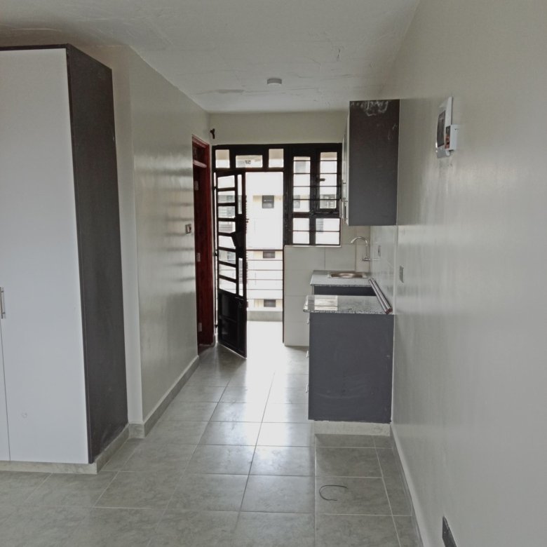 Modern and Spacious bedsitter to Let in Ngong Vet