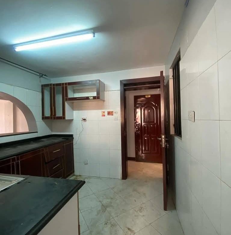 Newly Renovated 3 Bedroom Apartment to Let in South B