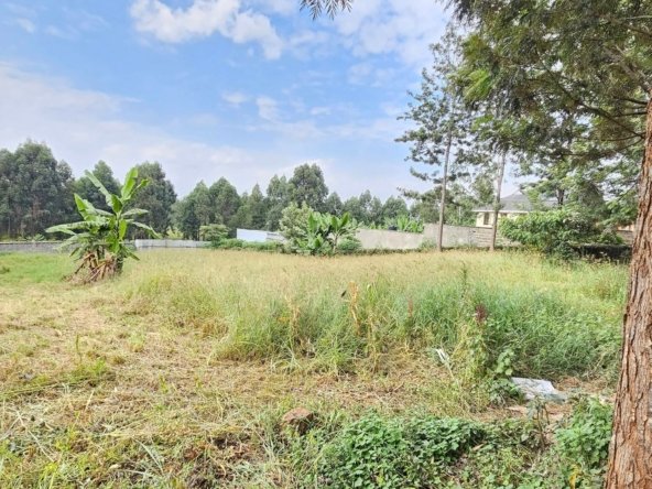 Prime Plot For Sale in Mugumo Estate, Kamiti Road (1/4 acre)