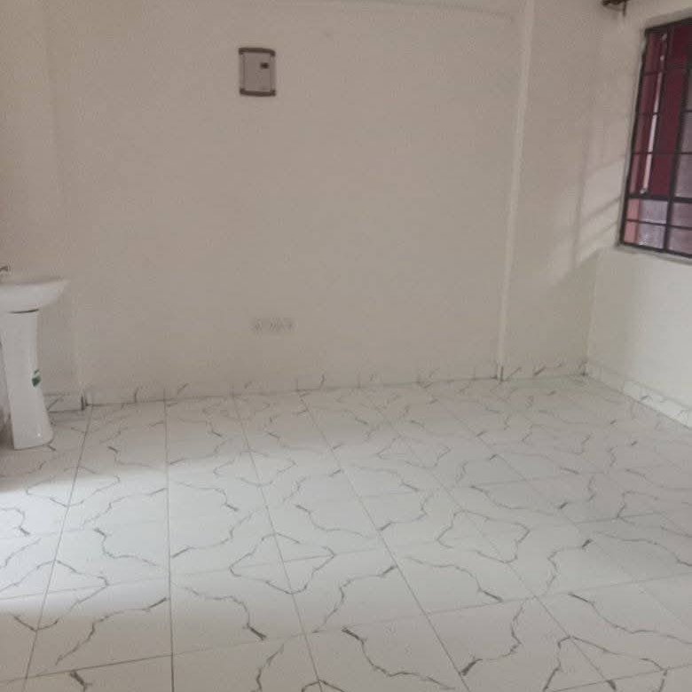 1 Bedroom Apartment To Let Ngong Vet