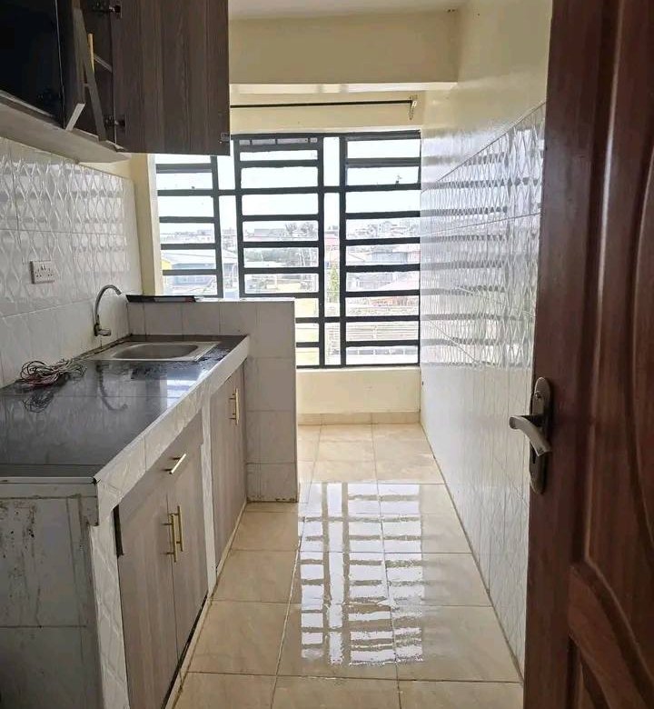 1 Bedroom Apartment To Let Utawala Shooters