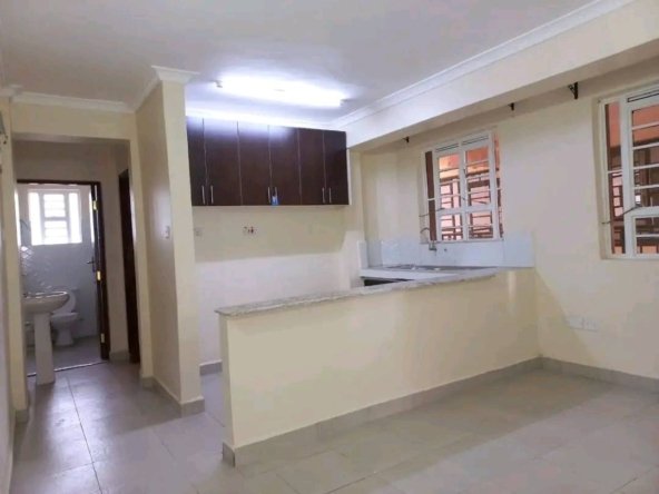 1 Bedroom Apartment in Ruiru Oj Junction