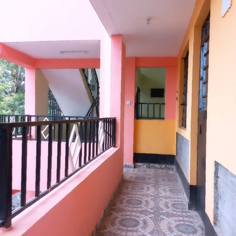 1 Bedroom Apartments To Let Kirigiti