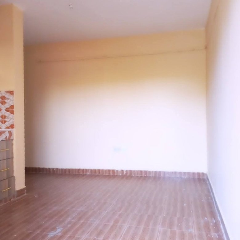 1 Bedroom Apartments To Let Kirigiti