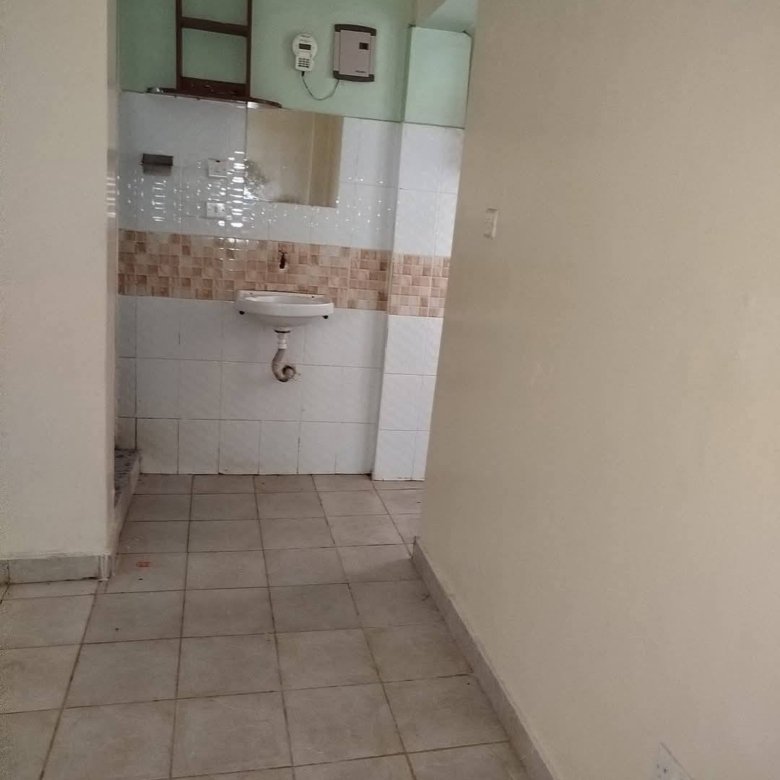 1 Bedroom To Let Roysambu Mirema
