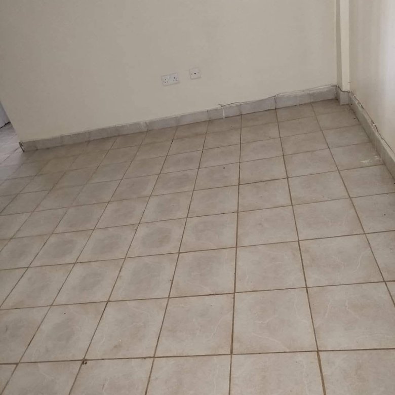 1 Bedroom To Let Roysambu Mirema