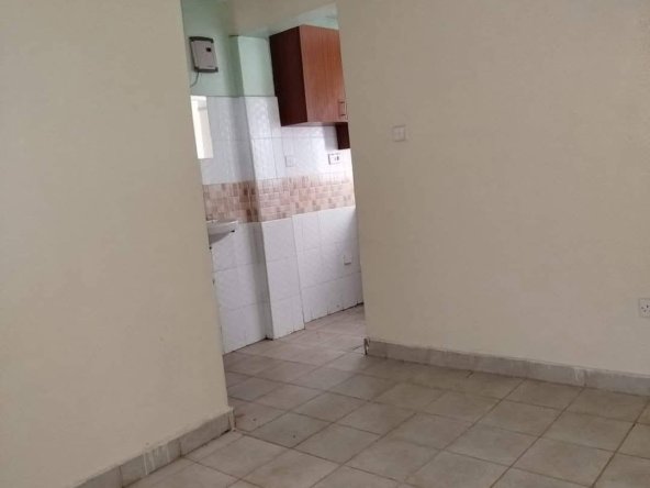 1 Bedroom To Let Roysambu Mirema