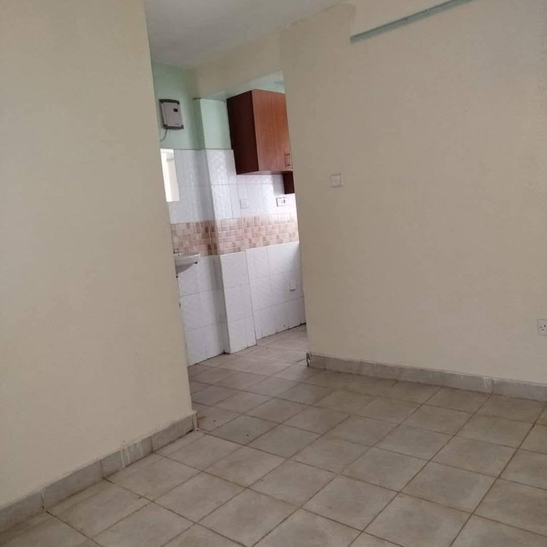1 Bedroom To Let Roysambu Mirema