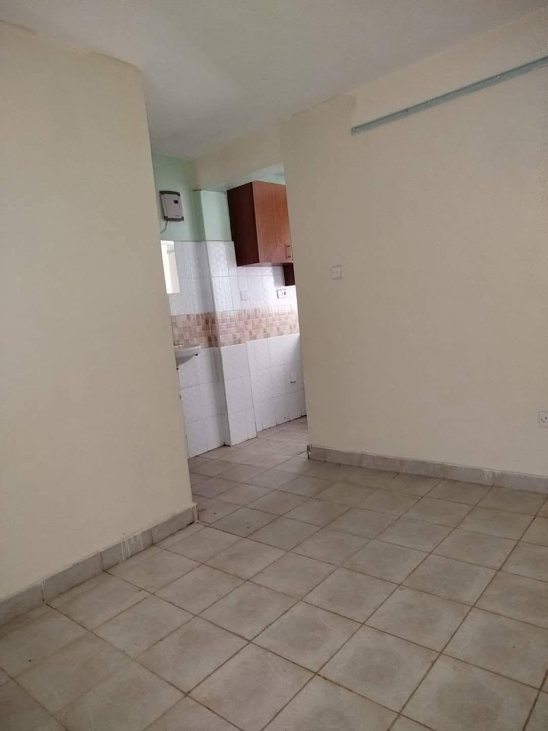 1 Bedroom To Let Roysambu Mirema