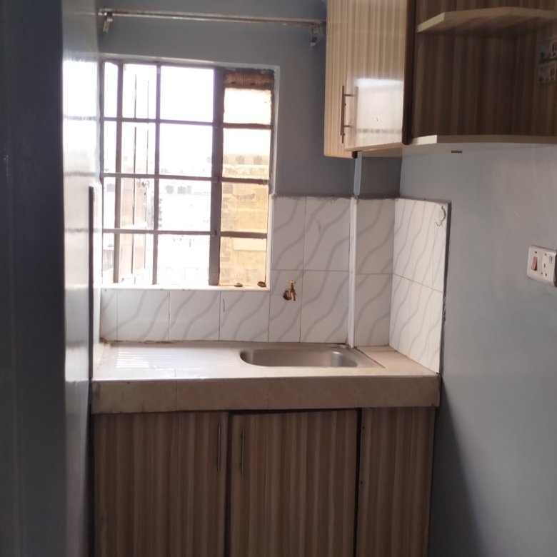 1 Bedroom To Let in Roysambu Zimmerman