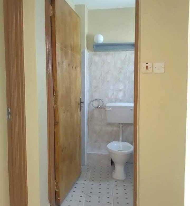 1 Bedroom to Let in Kiambu Kirigiti