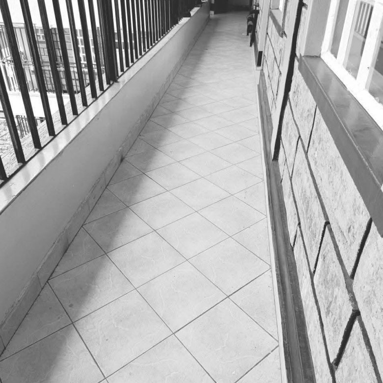 2 Bedroom Master Ensuite Apartment To Let Ngong Vet