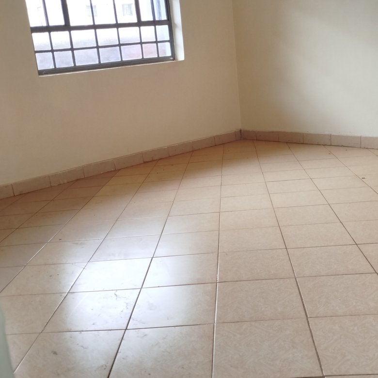 2 Bedroom To Let Roysambu Mirema