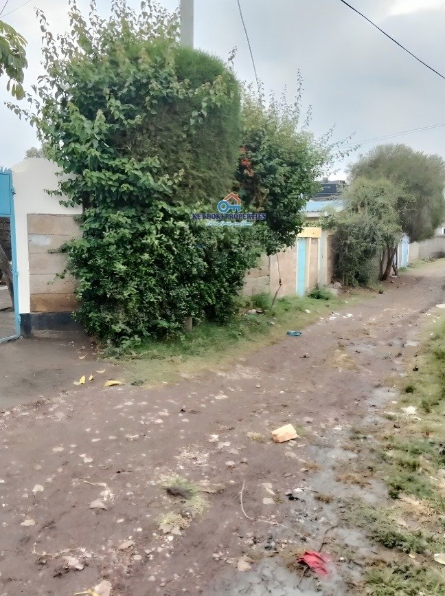 2 Bedroom To Let in Own Compound at Utawala Airways