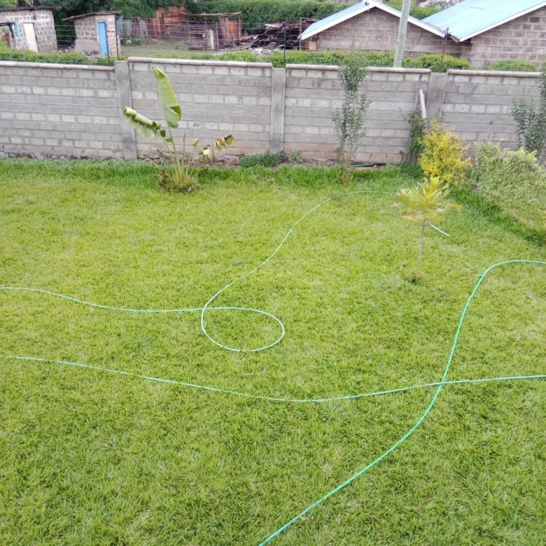 4 Bedroom Mansion To Let Ngong Vet
