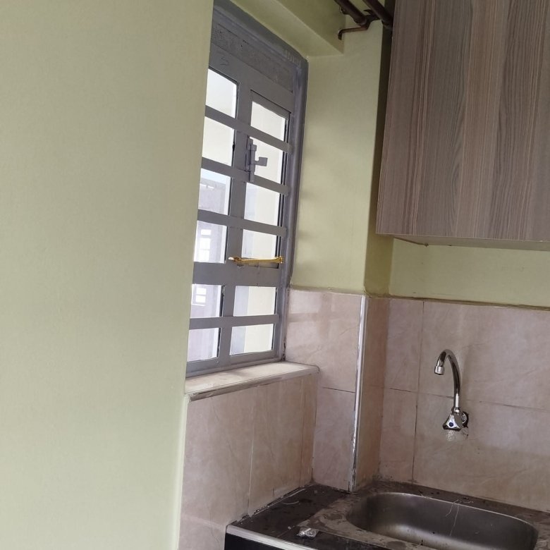 Bedsitter To Let in Roysambu Zimmerman