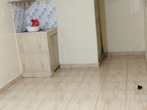 Bedsitters To Let at Roysambu Zimmerman
