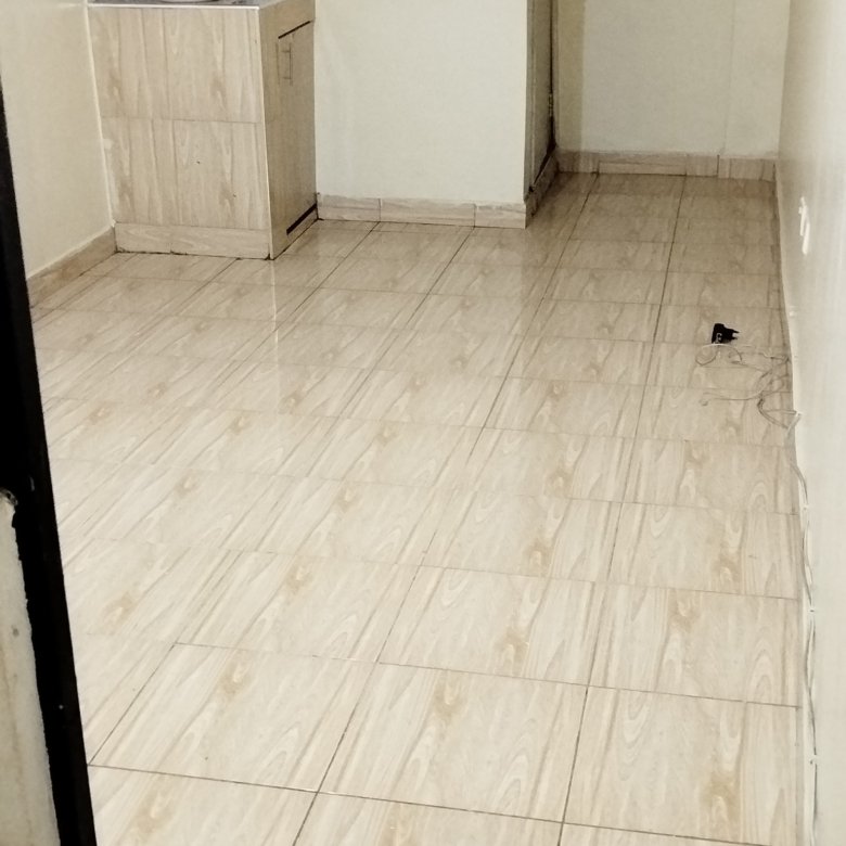 Bedsitters To Let at Roysambu Zimmerman