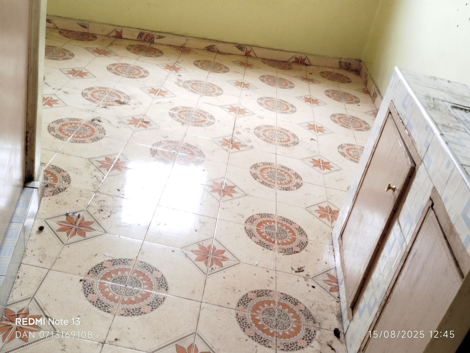 Bedsitters To Let at Roysambu Zimmerman