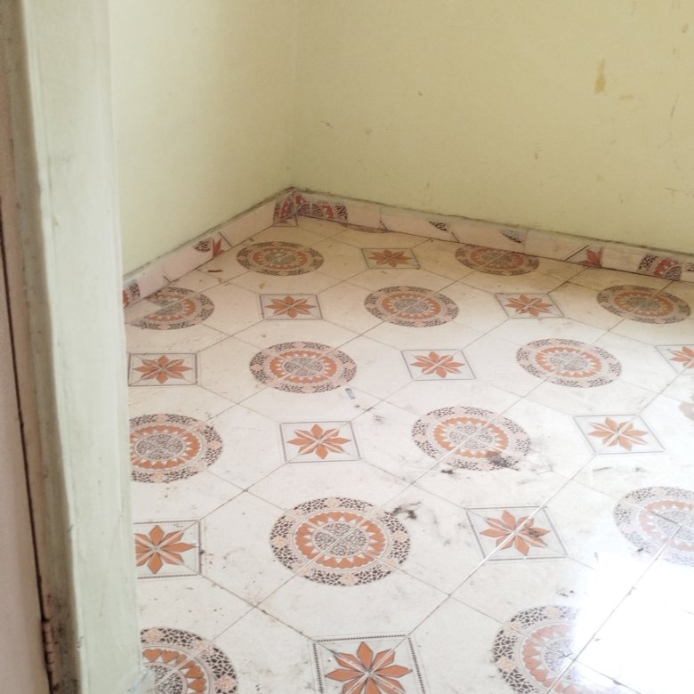 Bedsitters To Let at Roysambu Zimmerman