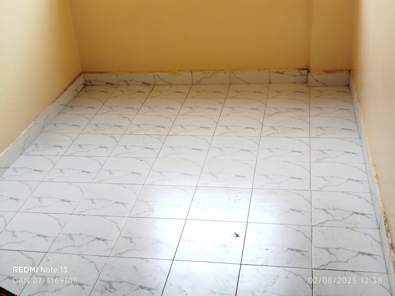 Bedsitters To Let in Roysambu Zimmerman