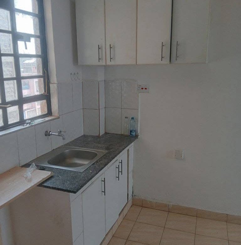 Executive Bedsitter To Let Utawala Shooters