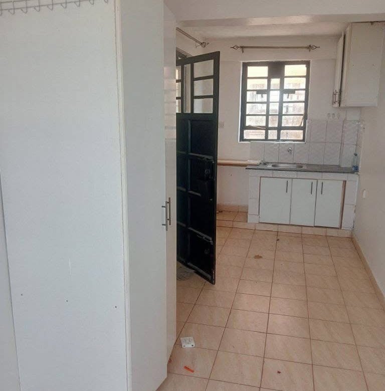 Executive Bedsitter To Let Utawala Shooters