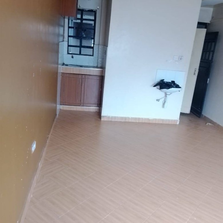 Modern Bedsitter To Let Umoja